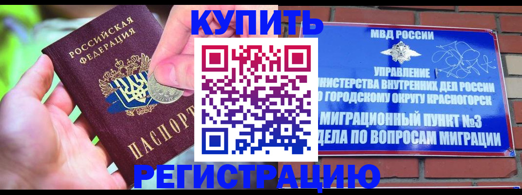 прописка законно в Алейске